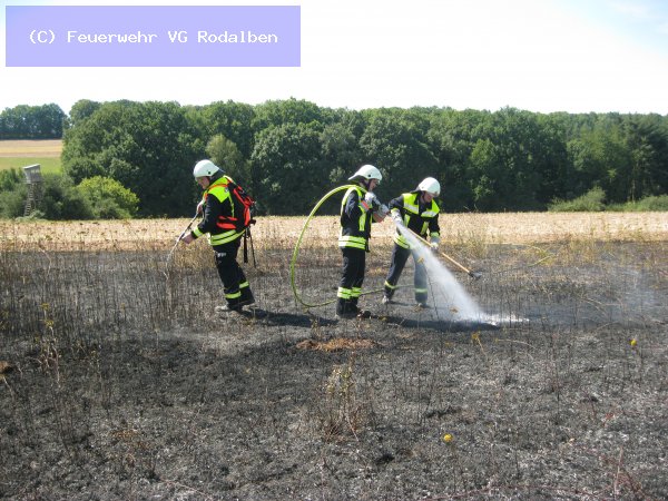 B2.02 - Flächenbrand groß vom 04.08.2022  |  (C) Feuerwehr VG Rodalben (2022)