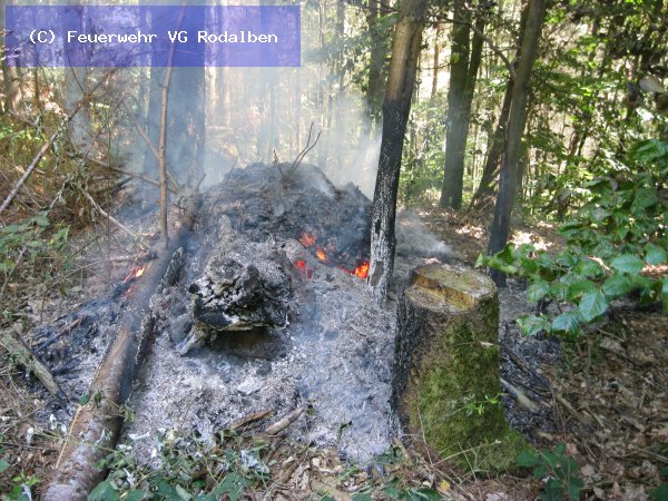 B1.02 - Flächenbrand klein vom 20.08.2022  |  (C) Feuerwehr VG Rodalben (2022)