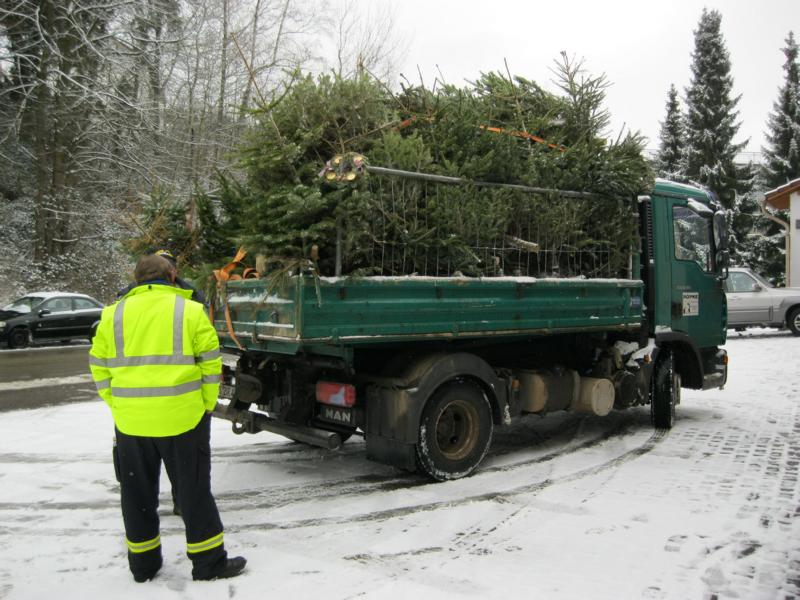 Christbaumaktion 13 130