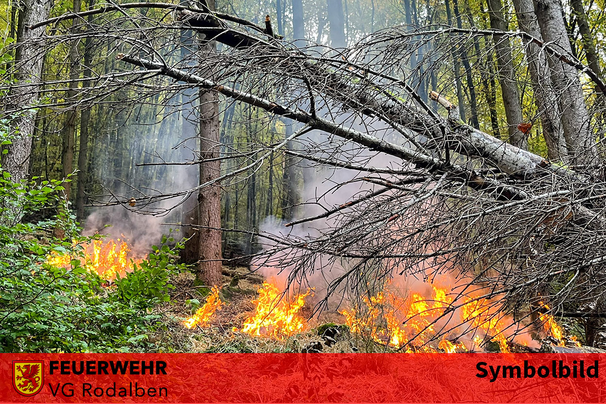 Gemeldete Rauchentwicklung entpuppte sich als Grillfeuer